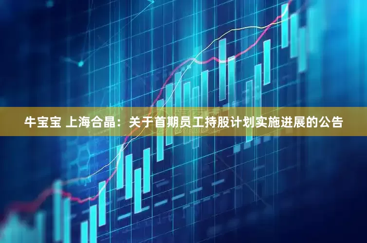 牛宝宝 上海合晶：关于首期员工持股计划实施进展的公告