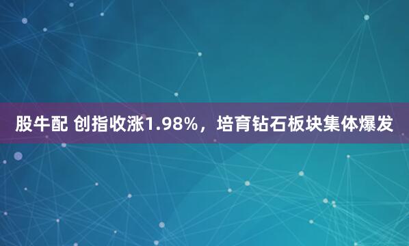 股牛配 创指收涨1.98%，培育钻石板块集体爆发